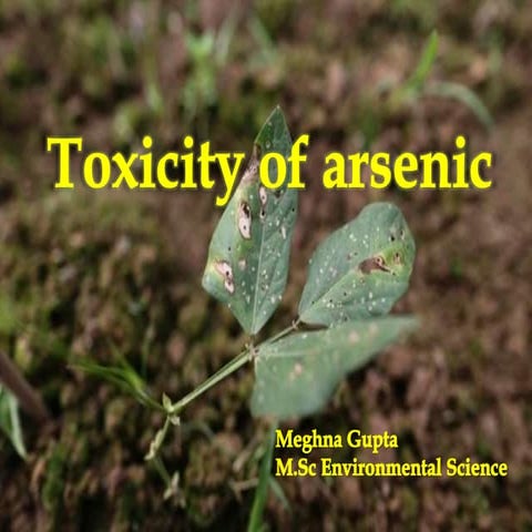 Toxicity of Arsenic