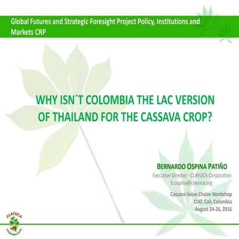 Why isn´t Colombia the LAC version  of Thailand for the cassava crop?