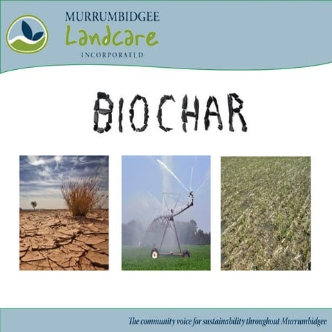 Presentation biochar (2)