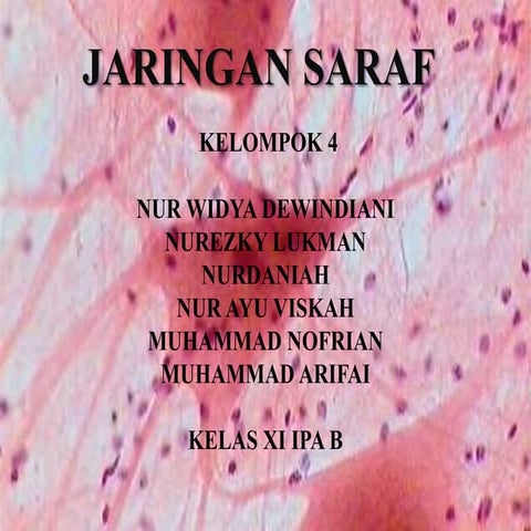 Presentation biology nervous tissue