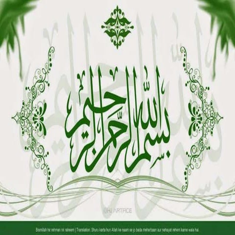 Presentation by oppo company on marketing research 