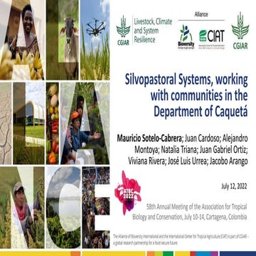 Silvopastoral Systems, working with communities in the Department of Caquetá 
