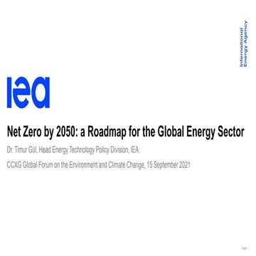 CCXG Forum, September 2021, Timur Gul