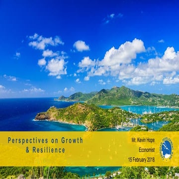 Perspectives on Growth and Resilience