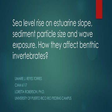 Sea level rise on estuarine slopes, sediment particle size and wave exposure ...