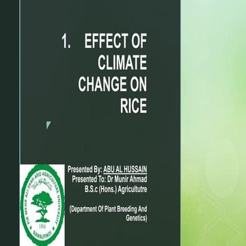 EFFECT OF CLIMATE CHANGE ON RICE | PPTX