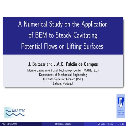 A Numerical Study on the Application of BEM to Steady Cavitating Potential Flows on Lifting Surfaces