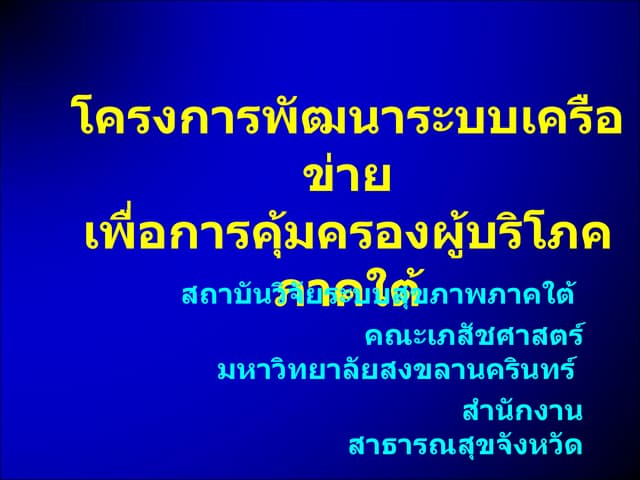 Presentation Consumersouth