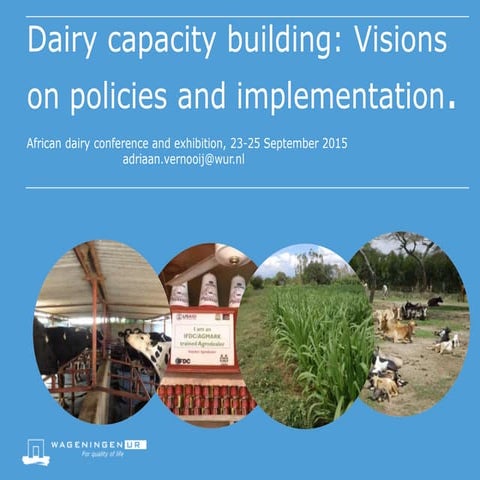 Dairy capacity building: Visions on policies and implementation
