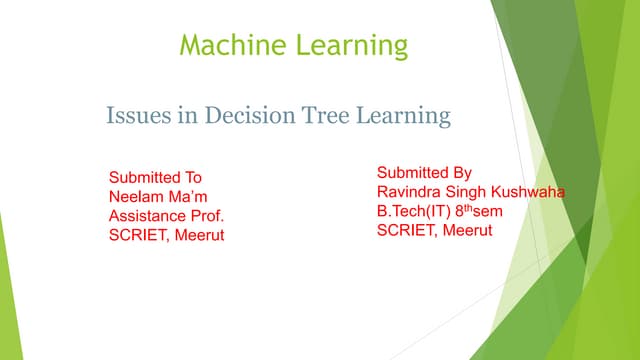 Issues in Decision Tree by Ravindra Singh Kushwaha B.Tech(IT) 2017-21 Chaudha...