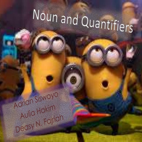 Noun and Quantifiers