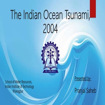 The Indian Ocean Tsunami, 2004