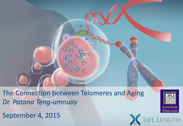The connection between Telomeres an...