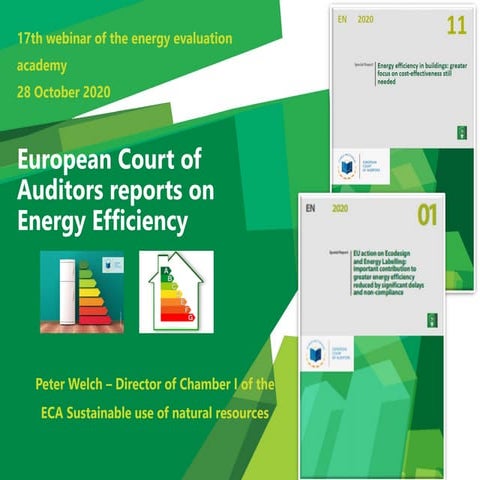 Quis custodiet ipsos custodes? The EU's energy efficiency policies scrutinise...
