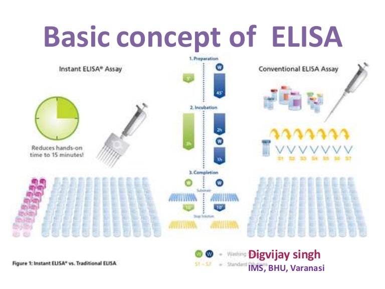 Presentation elisa ppt