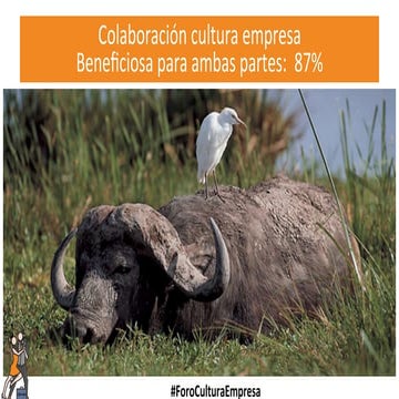 Presentation encuesta 