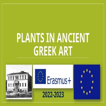 Presentation Erasmus Presentation Erasmus Pptx