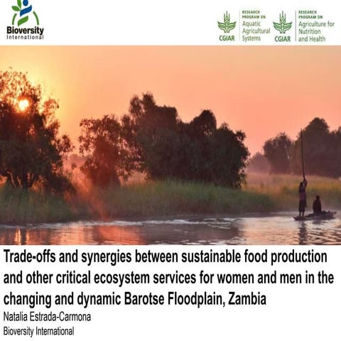 Mapping the dynamic Barotse Floodplain of Zambia