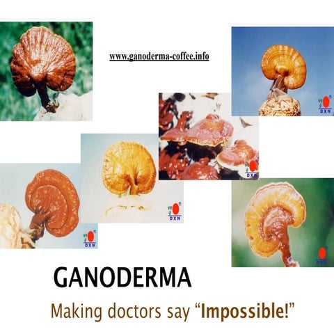 Jane Yau Jane Yau - GANODERMA Making doctors say “Impossible!”
