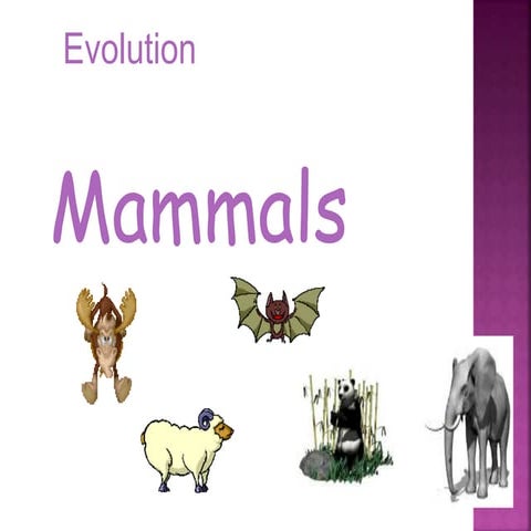 evolution of mammals by davendran
