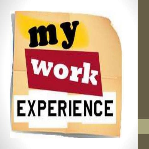 Work Experience Presentation example