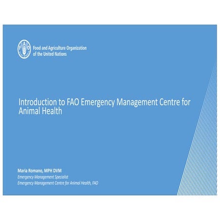 Presentatihjkllkjhhuioojgjon_FAO_EMC-AH.pdf