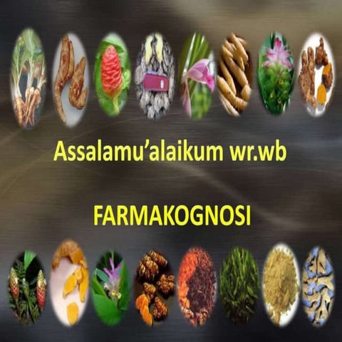 Presentation farmakognosi