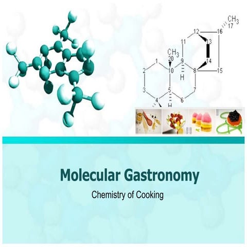 Molecular Gastronomy
