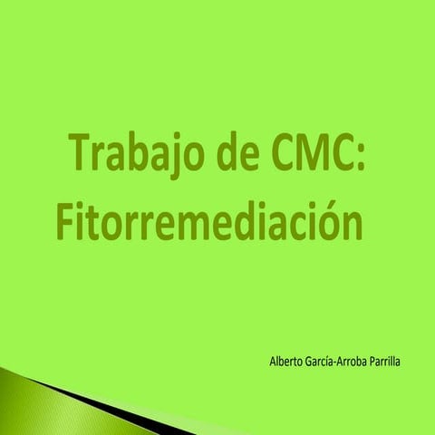 Presentación fitorremediación, CMC trabajo