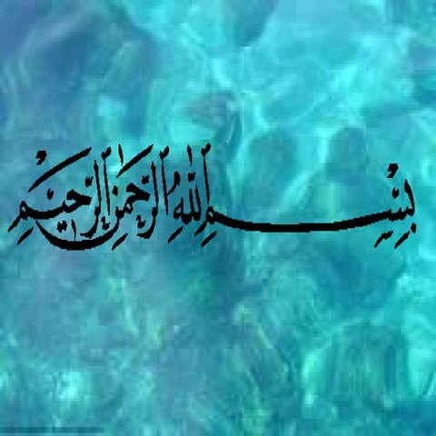 Presentation food science & technology