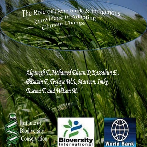 Tesema Alganesh: Role of gene bank in adaptation to climate change in three s...