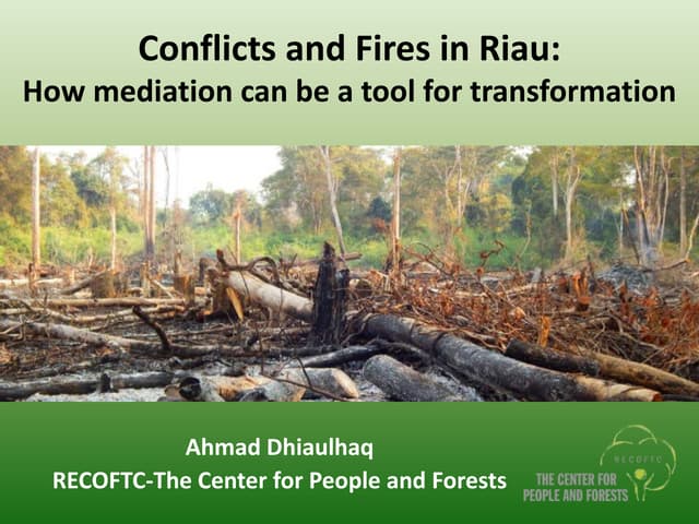 Conflicts and Fires in Riau: How mediation can be a tool for transformation