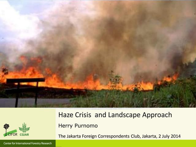 Haze Crisis and Landscape Approach