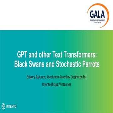 GPT and other Text Transformers:  Black Swans and Stochastic Parrots