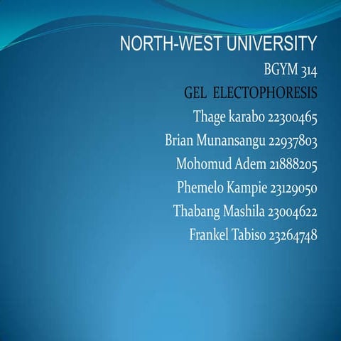 Presentation gel electrophoresis