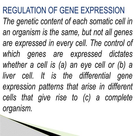Gene expression and regulation | PPTX