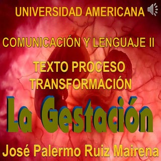 Presentation gestación