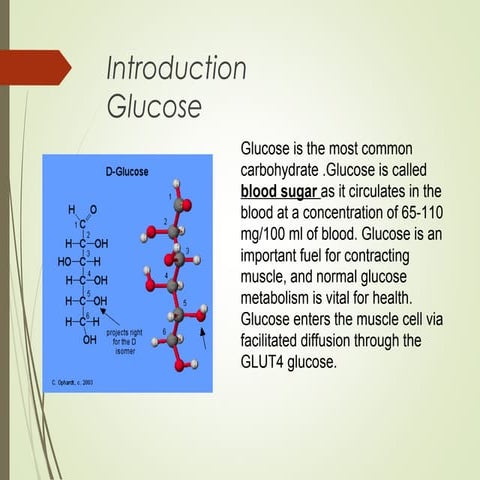 Presentation glucose transporters
