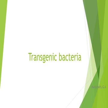transgenic bacteria