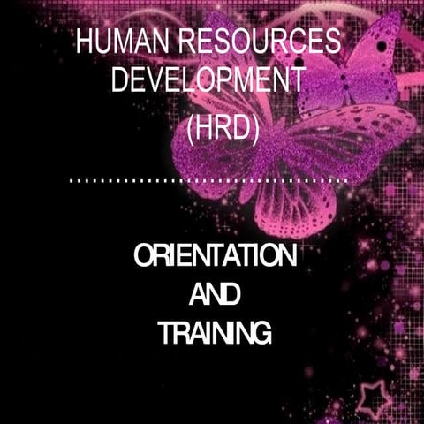 Orientation & Training