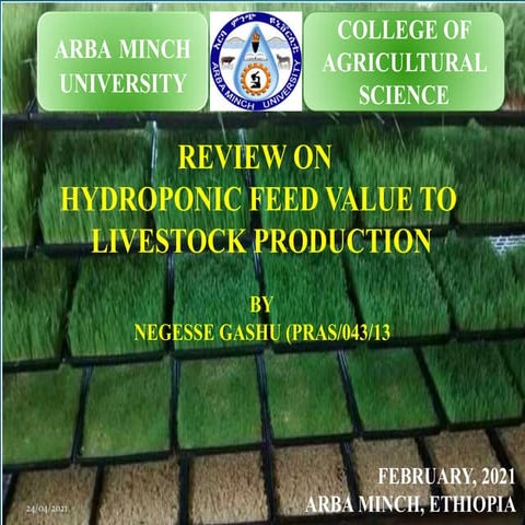Presentation hydroponics