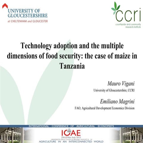Technology adoption and food security: the case of maize in Tanzania
