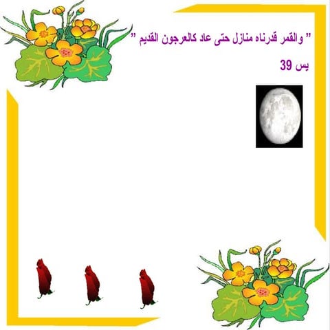 Presentation In Arabic Vct علوم