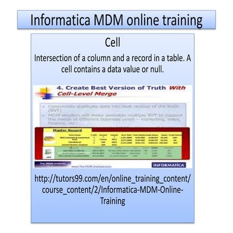 Informatica MDM online Training | Informatica MDM Training Classes by Sujeet ...