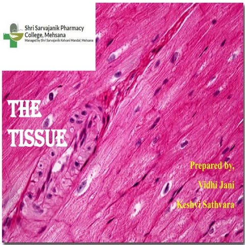 THE TISSUE a topic of Human Anatomy And Physiology | PPTX