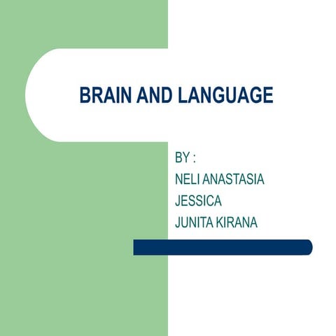 The Split Brain | DOCX