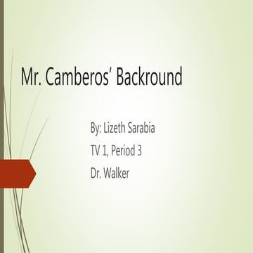 L.S. Interview with an English Teacher