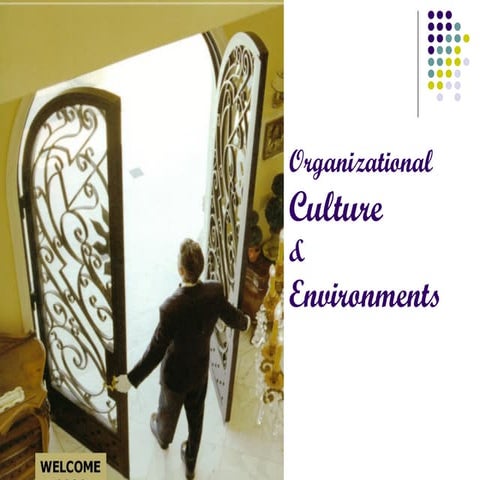 Organizational Culture & Environments