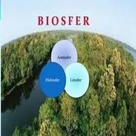 02. PPT Geografi XI -Flora dan Fauna.pptx