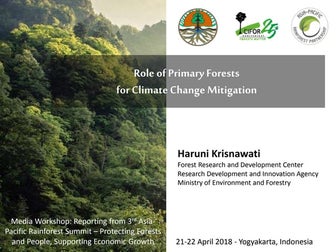 Role of primary forests for climate change mitigation